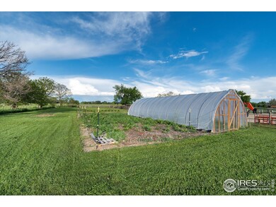 New High Hoop Green House