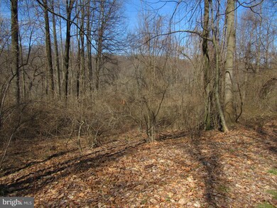 0 Shady Ln, Mohnton, PA 19540 - photo 3