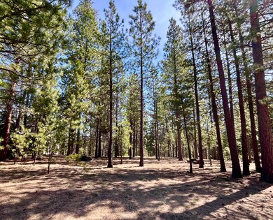 53514 Wildriver Way, La Pine, OR 97739 - photo 3