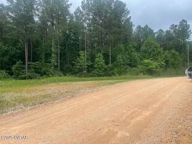 0 Bartlett Rd unit 2502351, Reagan, TN 38368 - photo 5