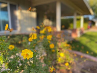 1638 W Orchid Ln, Phoenix, AZ 85021 - photo 4