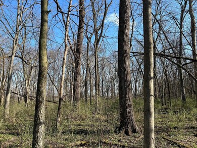 unlisted-address, Brooklyn, WI 53521 - photo 2