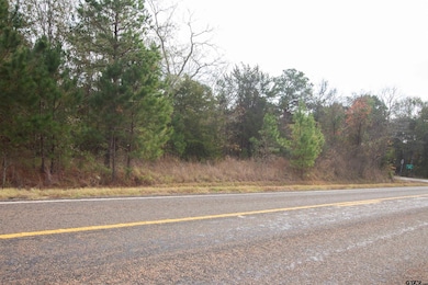 TBD Fm 2012 N, Overton, TX 75684 - photo 2