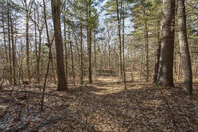 00 Stephen C Savage Way unit Map 41 Lot 83, Plaistow, NH 03865 - photo 6