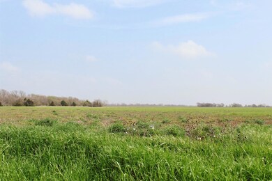 Tract 1 Sandswitch Rd, Ennis, TX 75119 - photo 4