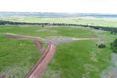 TBD Cedar Berry Dr, Spearfish, SD 57783 - photo 7