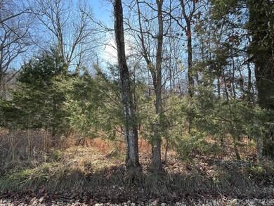 331 Bailey Blvd, Tahlequah, OK 74464 - photo 4