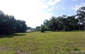 0 Redfish St unit 846020, Hudson, FL 34667 - photo 3
