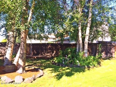 Sunny landscaped yard