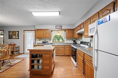 40725 Biggs Rd, Lagrange, OH 44050 - photo 6