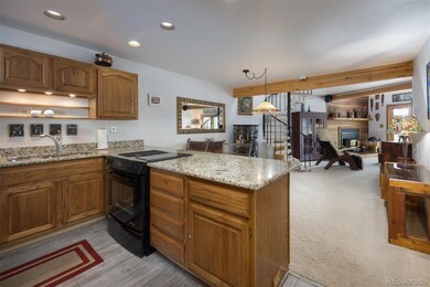9430 Ryan Gulch Rd unit 9444, Silverthorne, CO 80498 - photo 2