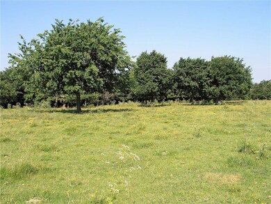 21297 Dale Rouse Rd, Springdale, AR 72762 - photo 5