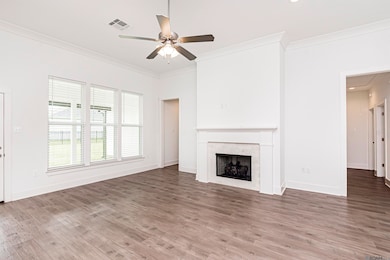 39223 Canopy Ct, Gonzales, LA 70737 - photo 3
