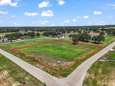 1023 Bluebonnet Ridge, Weatherford, TX 76087 - photo 3