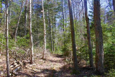 0 Schmidt Rd, Andover, VT 05143 - photo 6