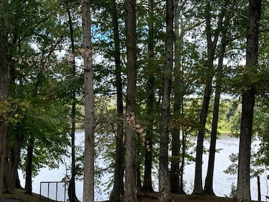 0 Bayview Dr Lot 160&161 unit RTC2782305, Bumpus Mills, TN 37028 - photo 2