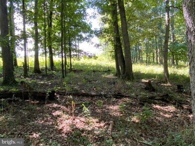 20 Hickory Loop Dr, Old Fields, WV 26845 - photo 2