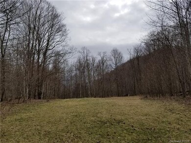 10 Acres Lickskillet Rd unit 5 & 9, Cane River, NC 28714 - photo 7