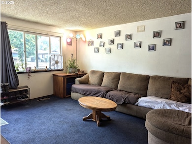 47696 W 1st St, Oakridge, OR 97463 - photo 4