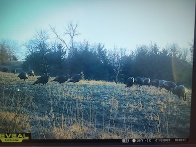 0 Highway 129, Unionville, MO 63535 - photo 6