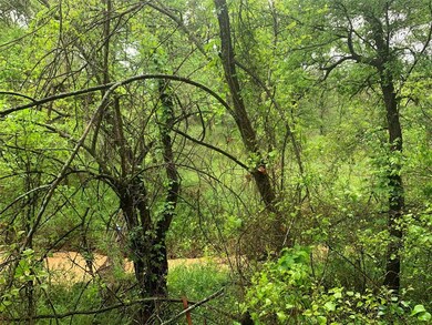 721 NE Front St, Millsap, TX 76066 - photo 6