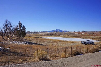 24934 Road N 4, Cortez, CO 81321 - photo 3