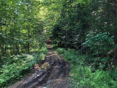 L203 Shippee Rd, Day, NY 12822 - photo 3