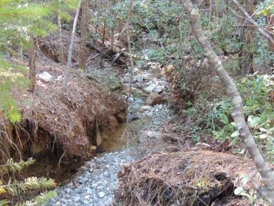 seasonal streambed