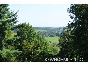 50 Peaceful Valley Dr, Leicester, NC 28748 - photo 4