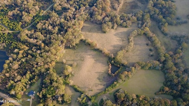 3142 King Rd, Wesson, MS 39191 - photo 3