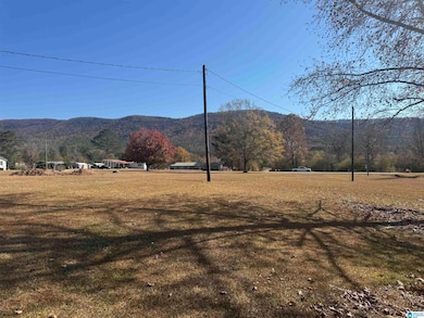 16067 Highway 9, Piedmont, AL 36272 - photo 5