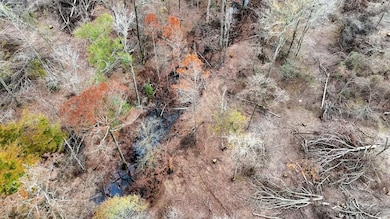 0 Big Creek Rd, Rison, AR 71665 - photo 3