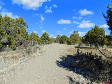 0 Uintah Rd unit 752141, Cedaredge, CO 81413 - photo 2