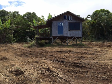 Lower Nahiku Rd, Hana, HI 96713 - photo 5