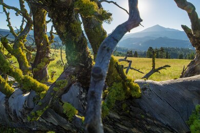 TBD Mountain Meadows Ln, Big Sky, MT 59716 - photo 5