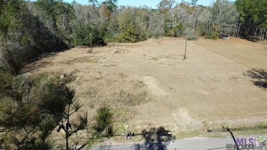 28519 Horseshoe Rd, Independence, LA 70443 - photo 5