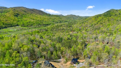 2669 Sulpher Springs Way, Sevierville, TN 37862 - photo 3