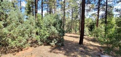 2250 S Trillium Ln, Show Low, AZ 85901 - photo 7