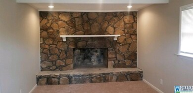 8213 Cedar Mountain Rd, Pinson, AL 35126 - photo 4