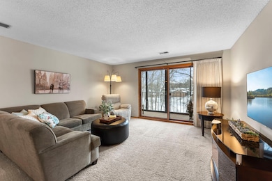 20 Windsor Ln unit 304A, New Brighton, MN 55112 - photo 4