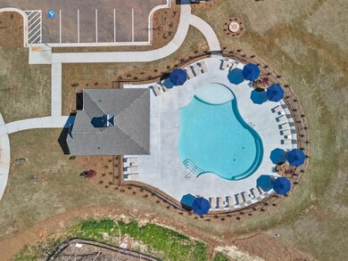 Bird's eye view of a pool area