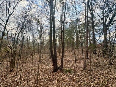 0 Lot 1 Sartain Rd unit 25-437, Dennis, MS 38838 - photo 4