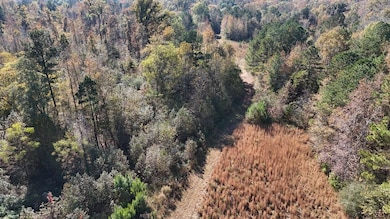 Saffold Rd, Madison, GA 30650 - photo 2