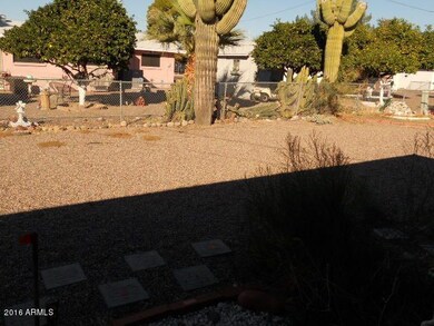 023-235374 Backyard