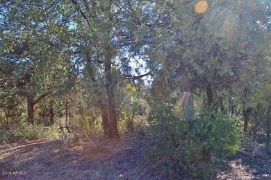 Land for Sale 5