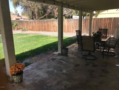 Spacious Backyard