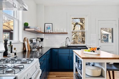 60 Chestnut St unit 2, Brookline, MA 02445 - photo 5