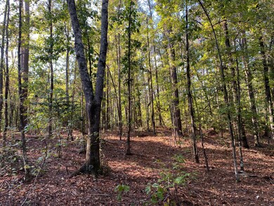 4866 Hwy 42 S, Forsyth, GA 31029 - photo 6