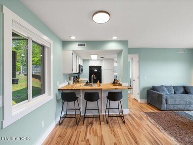 08-3710-Weber-Rd-e204-Gatlinburg-TN-8