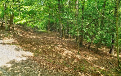 Lt33-34 Lt 33-34 Dogpatch Ln, Blue Ridge, GA 30513 - photo 3
